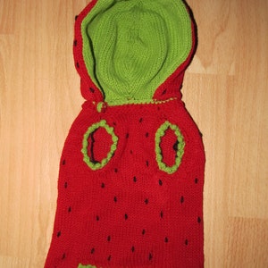 May include: A red knitted strawberry costume with a green hood. The costume has black seed details and a green crocheted trim.