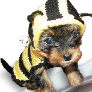 BEE Small Dog Sweater Small Dog Clothes Puppy Yorkie Clothes Chihuahua Clothing Frenchie Outfit Teacup Halloween Dog Costume Boy Girl Hoodie