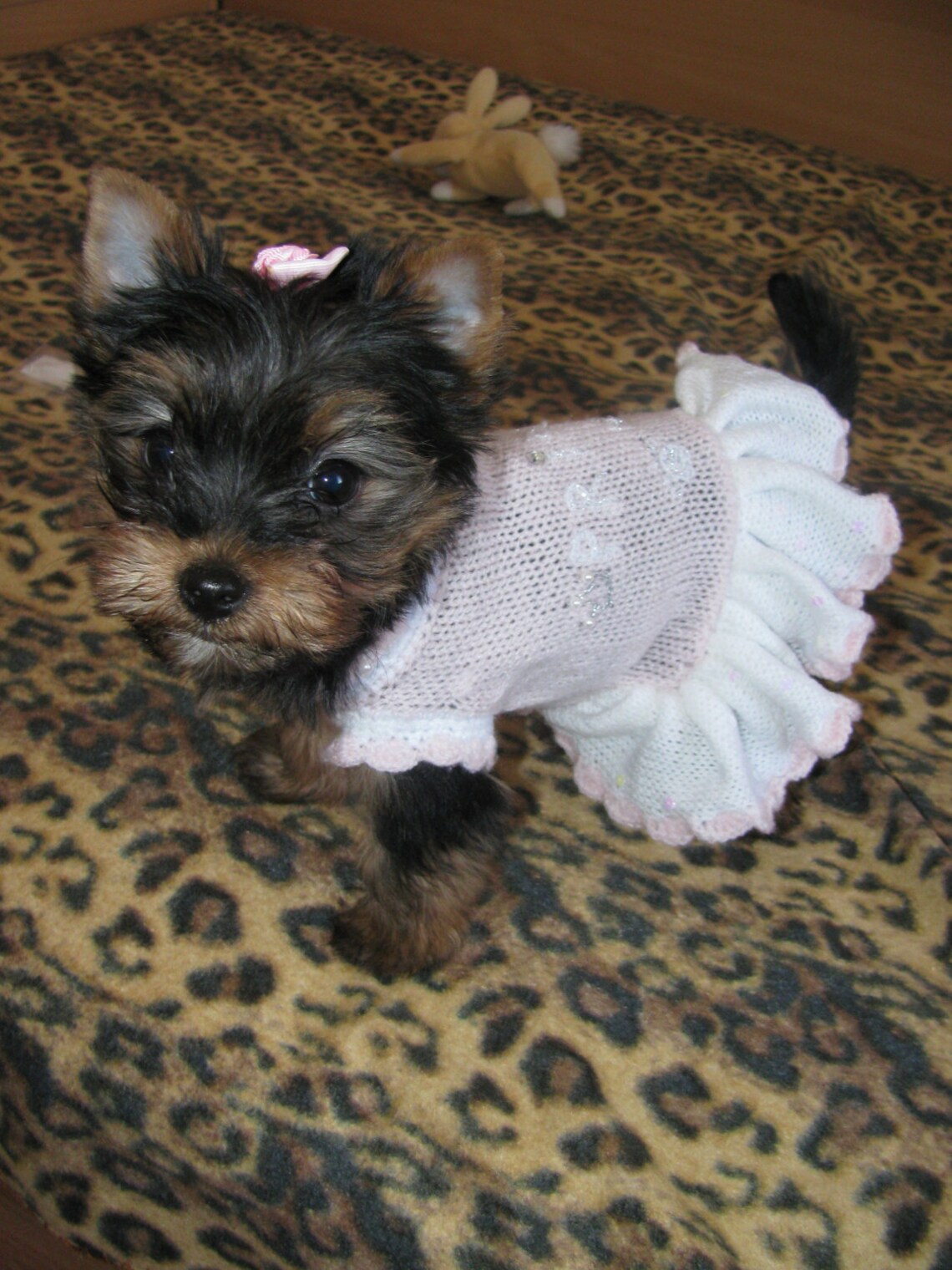 Dog Dress Puppy Dress Pink Dog Dress Princess Designer Dog Etsy