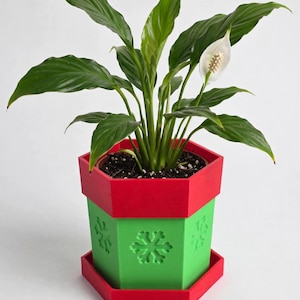 May include: A green hexagonal plant pot with a red rim and matching red saucer base. The pot features embossed snowflake designs on each side and contains a green peace lily plant with dark green leaves and a single white spathe flower.
