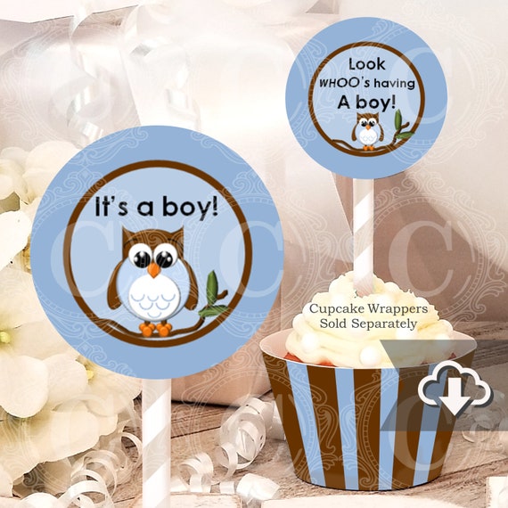 Owl Baby Shower Decorations Owl Boy Baby Shower Cupcake Etsy