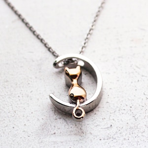 Cat store urn jewelry