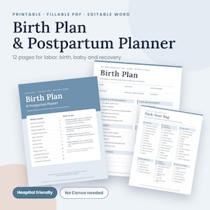 Puede incluir: Un documento PDF imprimible, rellenable y editable en Word titulado Birth Plan & Postpartum Planner. El conjunto incluye 12 páginas para el parto, nacimiento, bebé y recuperación, con listas de verificación para la bolsa del hospital.