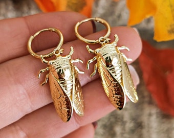 Golden Cicada Hoop Earrings: Insect Jewelry, Entomology Gift