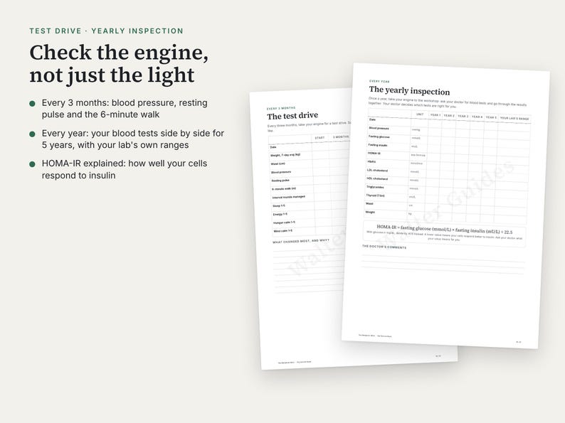 K&ouml;nnte beinhalten: Zwei wei&szlig;e Gesundheits-Tracking-Formulare mit den Titeln The test drive und The yearly inspection. Der Text enth&auml;lt Check the engine, not just the light, sowie Aufz&auml;hlungspunkte zu Gesundheitswerten wie Blutdruck und HOMA-IR.