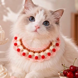 Könnte beinhalten: Ein gehäkeltes Haustierhalsband in Hellrosa, Braun und Creme mit gewelltem Rand und kleinen roten Bommeln. Das Halsband wird um den Hals einer flauschigen, langhaarigen weißen Katze mit blauen Augen getragen, die neben einer Schale mit Kirschen liegt.