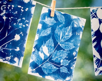 Botanical Composition in Shades of Blue – Minimalist Art – Original Cyanotype – Print Only