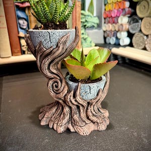May include: A two-tiered planter featuring a brown, textured base sculpted to resemble tree roots and branches. The planter holds two small, gray, crackled-finish pots, each containing a green succulent plant with distinct leaf patterns.