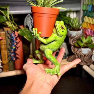May include: A bright green frog figurine with textured skin holding a terracotta-colored plant pot containing a small spider plant. The frog is depicted in a standing position with its front limbs raised to support the base of the pot.