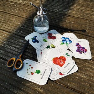 Printable Berry Flash Cards for Kids - Educational PDF With 12 ...