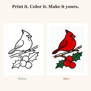 May include: A printable colouring page featuring a cardinal bird perched on a holly branch with berries. The text reads: Print it. Colour it. Make it yours. The image shows a black and white line art version labelled Before and a coloured version labelled After.