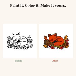 Dibujos para colorear de otoño para adultos, Dibujos para colorear de otoño, Dibujos para colorear de animales del bosque, Dibujos sencillos y llamativos, Dibujos para colorear acogedores, 30 PDF imprimibles imagen 2