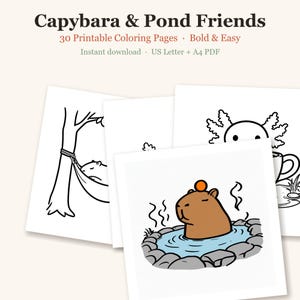 Dibujos para colorear de capibaras, 30 lindas páginas imprimibles de capibaras, ajolotes y ranas para niños y adolescentes, llamativas y fáciles (descarga en PDF) imagen 1