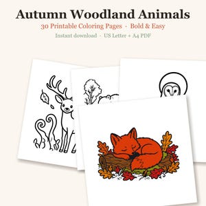 Dibujos para colorear de otoño para adultos, Dibujos para colorear de otoño, Dibujos para colorear de animales del bosque, Dibujos sencillos y llamativos, Dibujos para colorear acogedores, 30 PDF imprimibles imagen 1