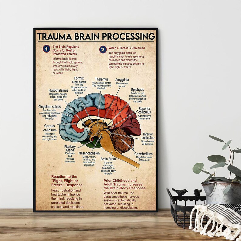 Trauma Brain Processing Poster Mental Health Poster Brain - Etsy