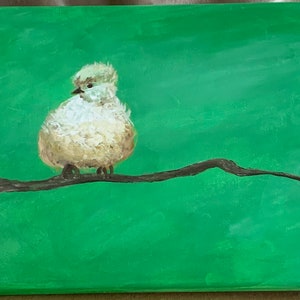 Little Fluffy Bird