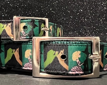 Wicked Witch Dog Collar: Nylon Webbing, Matching Leash Available