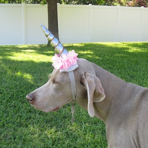 Dog unicorn headband top