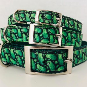 Pickles Dog/Cat Collar: Nylon Webbing with Breakaway Buckle