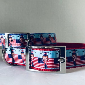 Memorial Day Collar,4th of July Flyover Celebration Dog Collar,Independence Day Dog Collar,Patriotic Dog Collar,Red White Blue Dog Collar