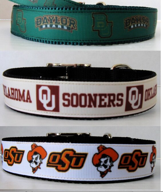 Collegiate shop dog collars