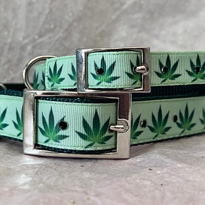 Może przedstawiać: Dwa zielone obroże dla psa ze srebrną klamrą i srebrnym kółkiem D. Obroże są ozdobione powtarzającym się wzorem zielonych liści marihuany.