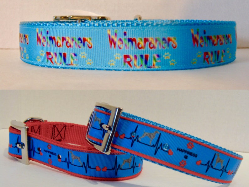 Weimaraner Dog Collarweimaraner Custom Collarweimaraner Etsy