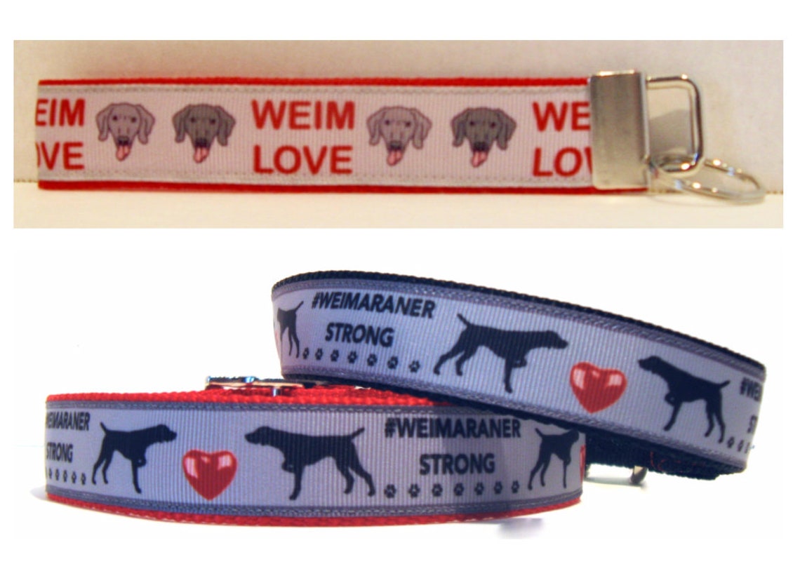 Weimaraner Dog CollarWeimaraner Custom CollarWeimaraner Etsy