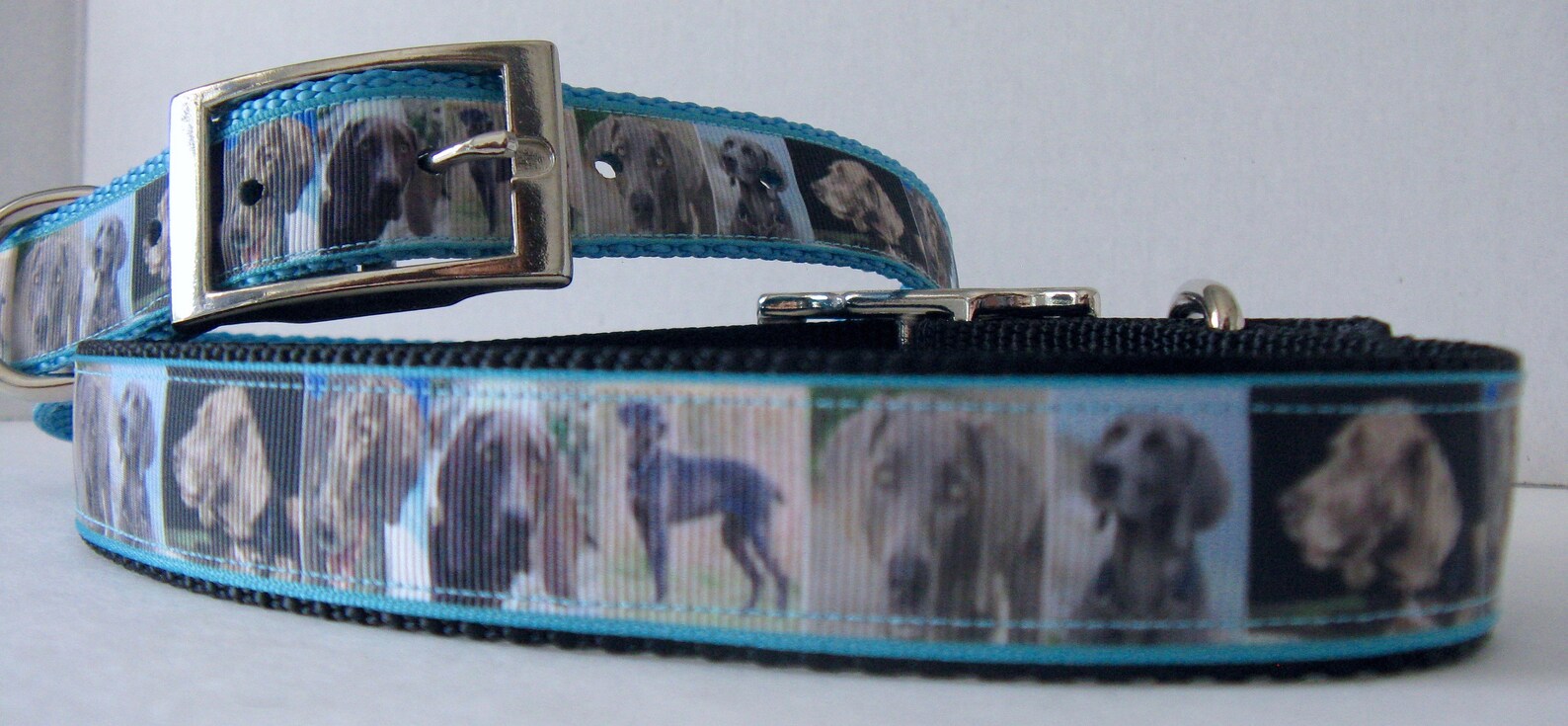Weimaraner Dog Collarweimaraner Custom Collarweimaraner Etsy