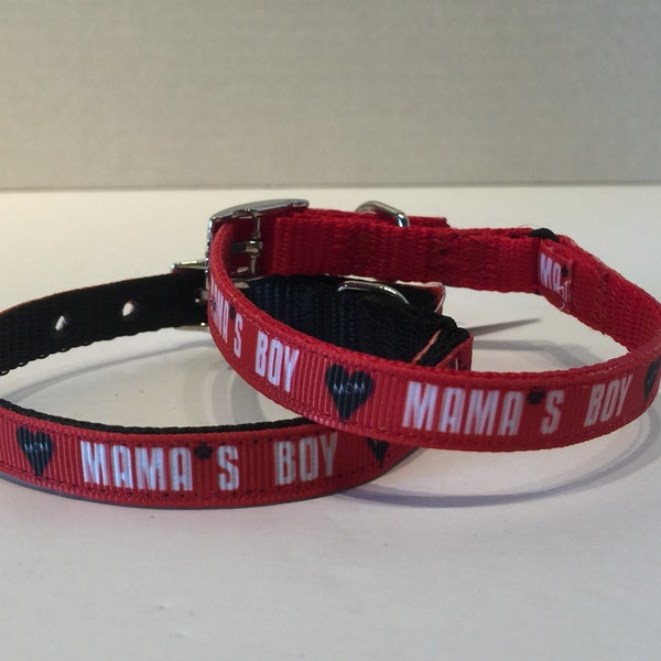 Mama's Boy Cat Collar, Mama's Boy Dog Collar