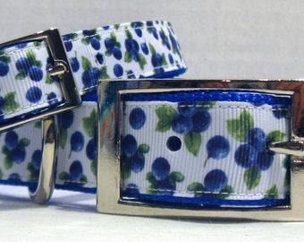 Blueberry Dog Collar: Nylon Webbing, Breakaway Cat Collar Available