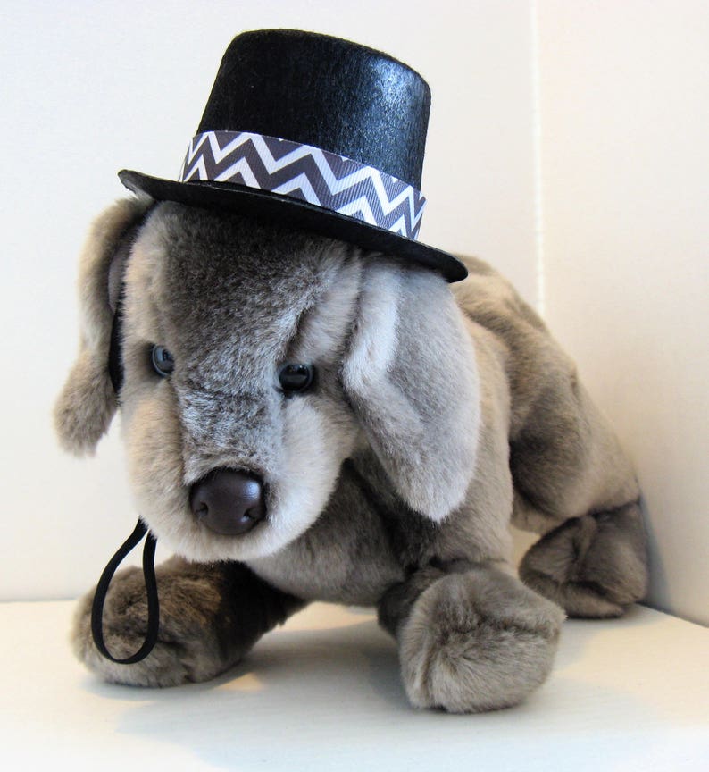 GentlePaw Top Hat for Dogs Etsy