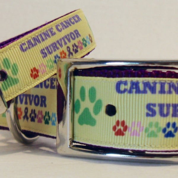 Canine Cancer Survivor Ribbon Dog Collar-Canine Cancer Awareness--Also Available are Matching Leads-Key Fob