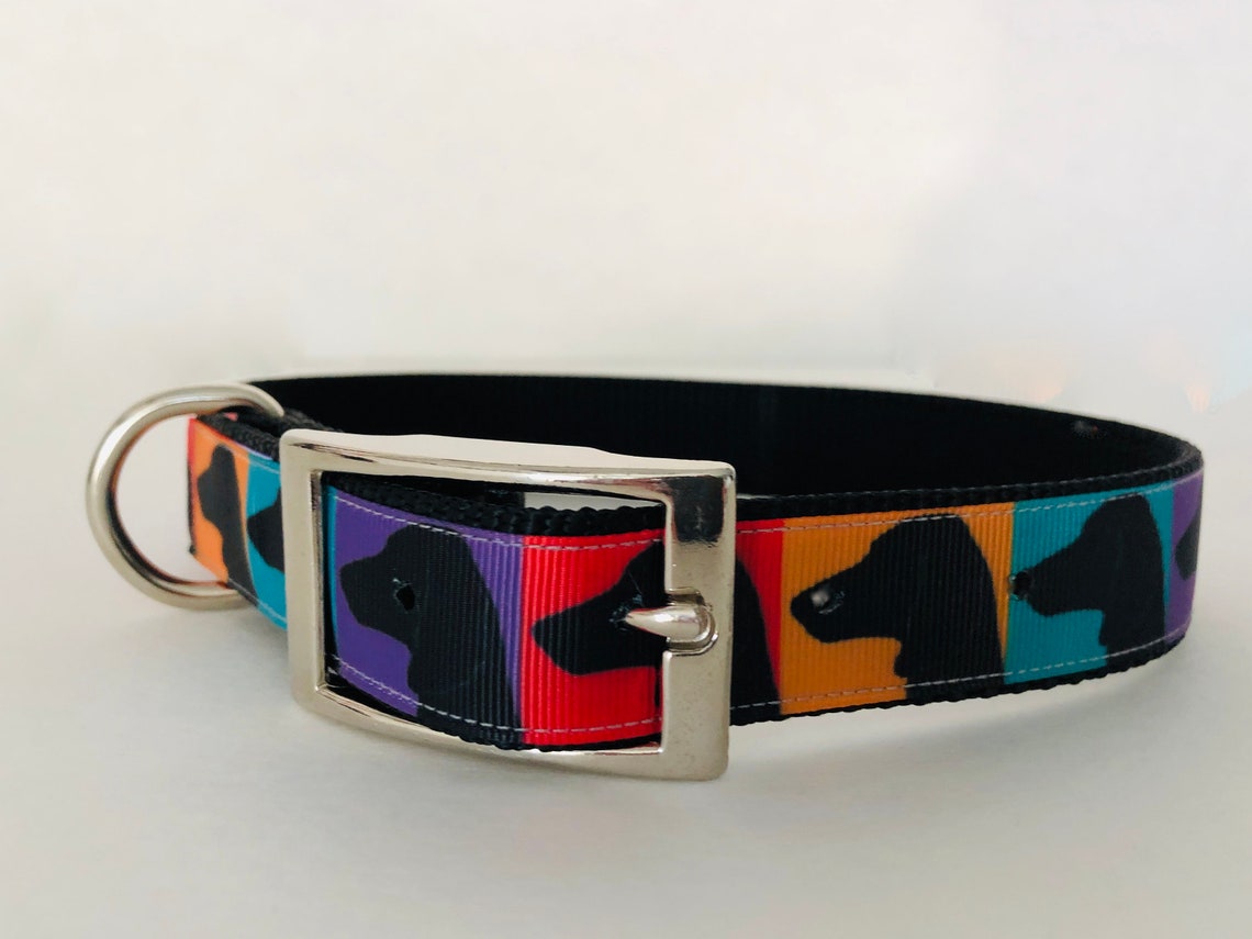 Weimaraner Dog Collarweimaraner Custom Collarweimaraner Etsy