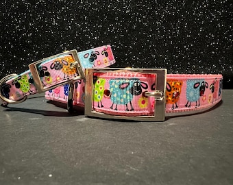 Kleurrijke schapenhalsband