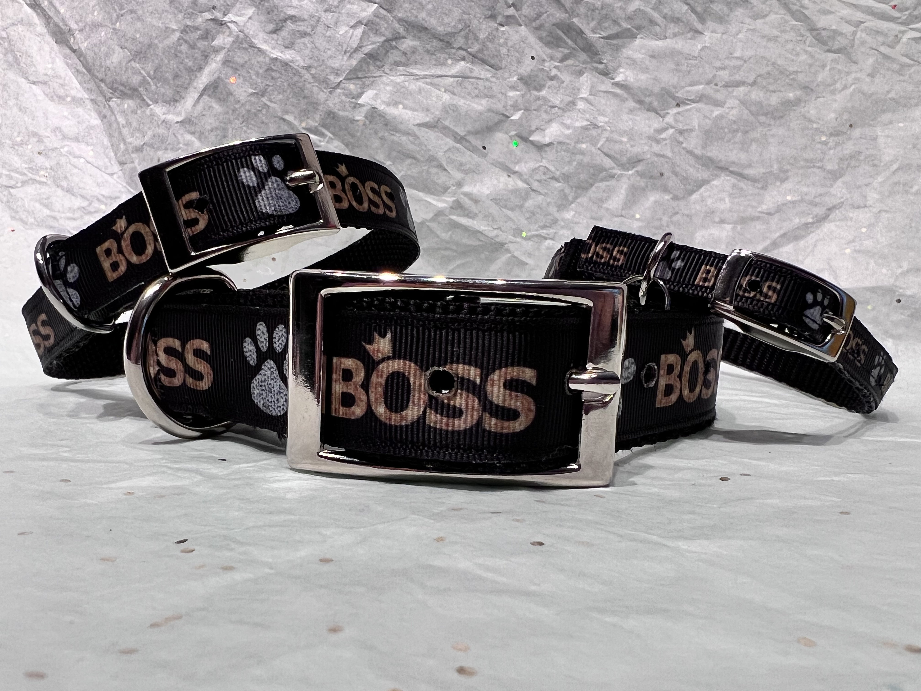 Hugo Boss biscotti Dog Leash