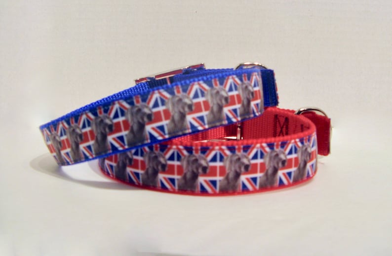 Weimaraner Dog Collarweimaraner Custom Collarweimaraner Etsy