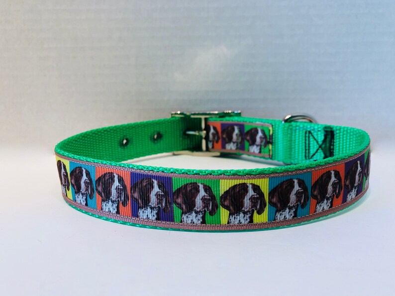 German Shorthaired Pointer Dog Collar GSP Dog Collar German Etsy