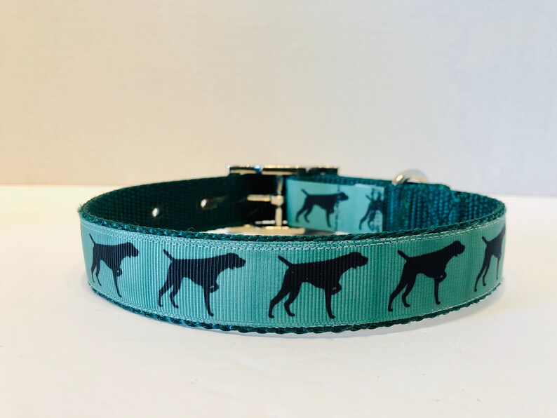 German Shorthaired Pointer Dog Collar GSP Dog Collar German Etsy