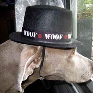 GentlePaw Top Hat for Dogs