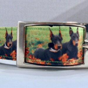 Dobermann-pinscherhalsband