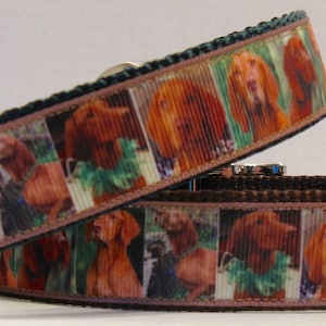 May include: Two dog collars with a repeating pattern of a brown dog's face. The collars have a brown base with a patterned ribbon and a dark green trim. The collars are for pets.