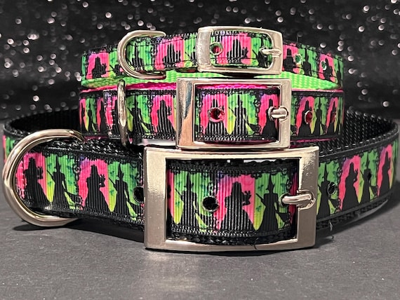 Wicked Witch Silhouette Dog Collar: Nylon Breakaway Cat Collar