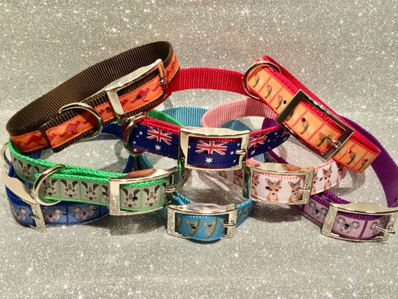 kangaroo dog collar