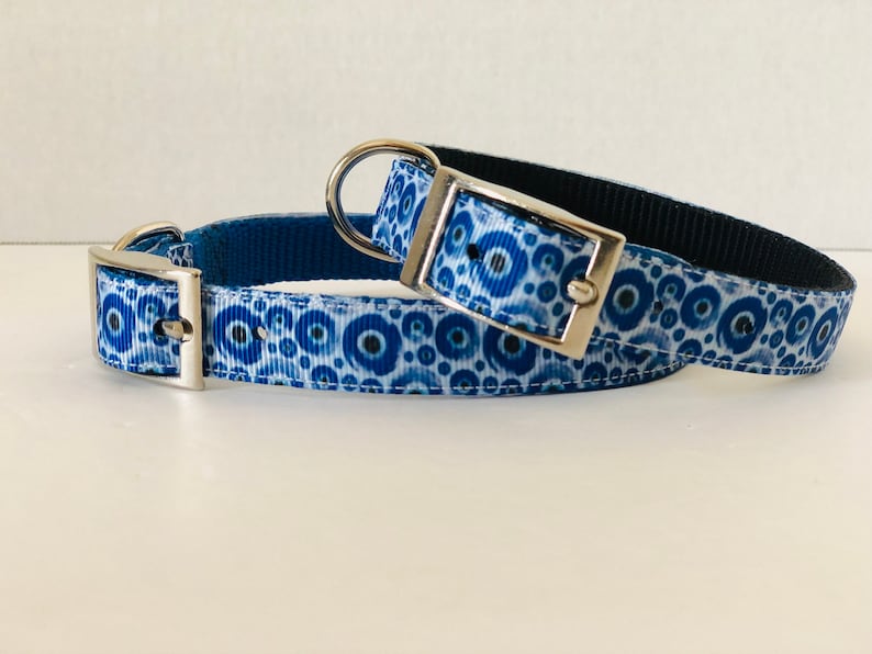 May include: Two blue dog collars with silver metal buckles. The collars have a repeating pattern of blue and white circles. One collar is on top of the other.