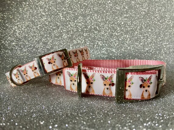 kangaroo dog collar