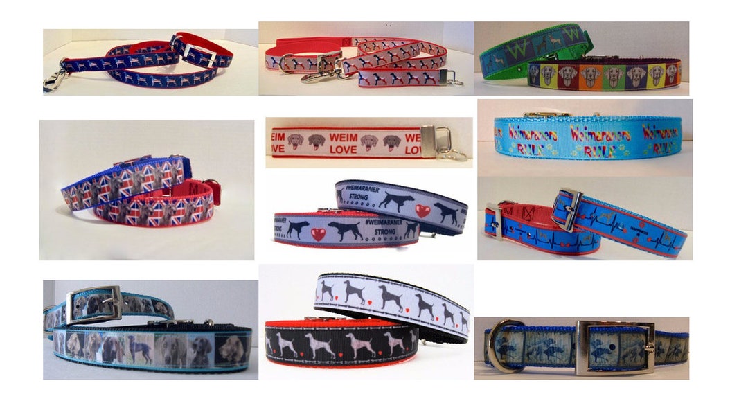 Weimaraner Dog Collarweimaraner Custom Collarweimaraner Etsy