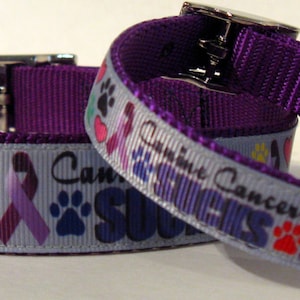 Canine Cancer Awareness Ribbon Dog Collar: Nylon Webbing