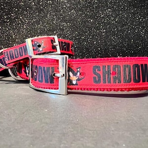 Shadow Dog Collar, Shadow Cat Breakaway Collar