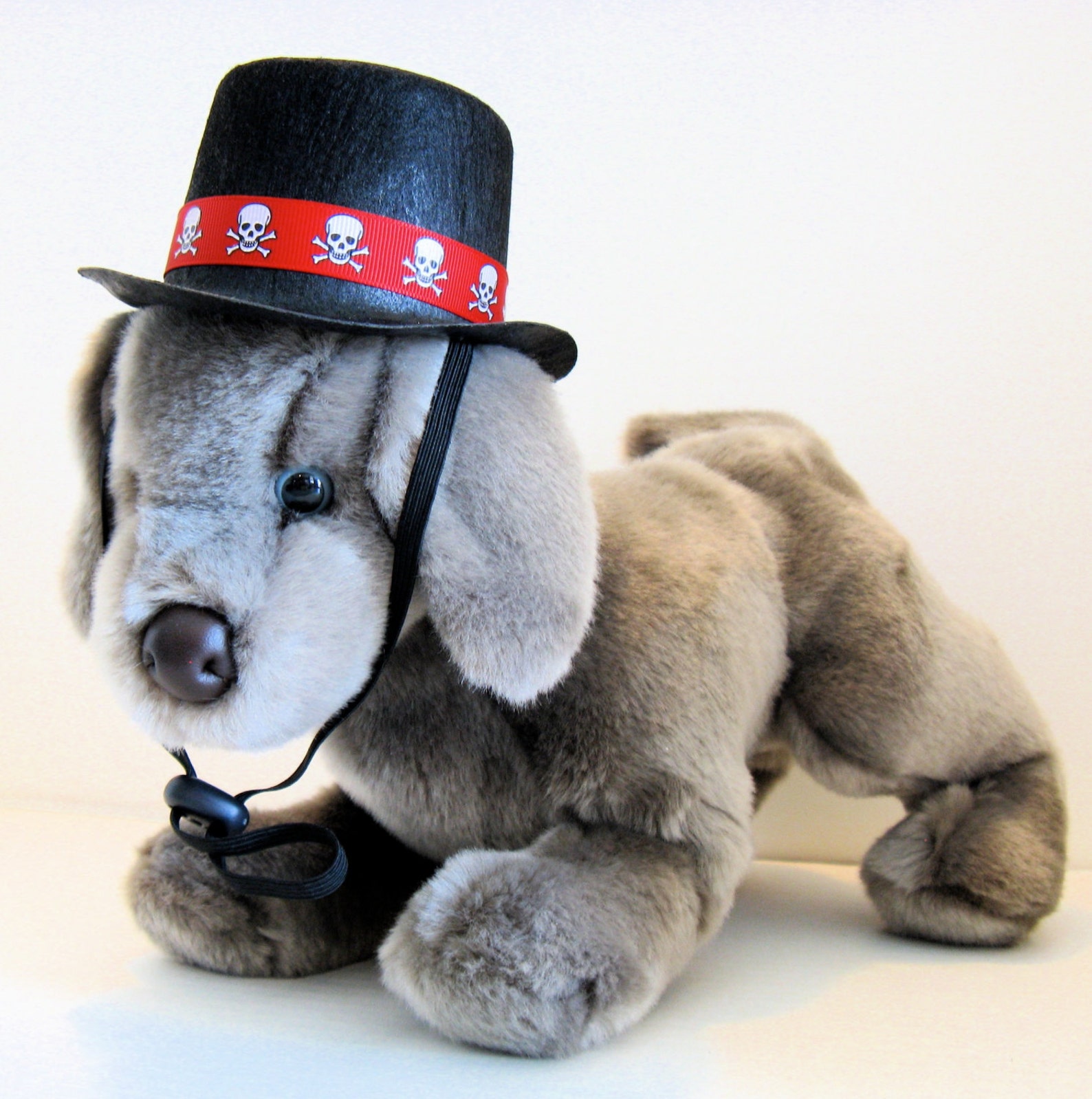 GentlePaw Top Hat for Dogs Etsy
